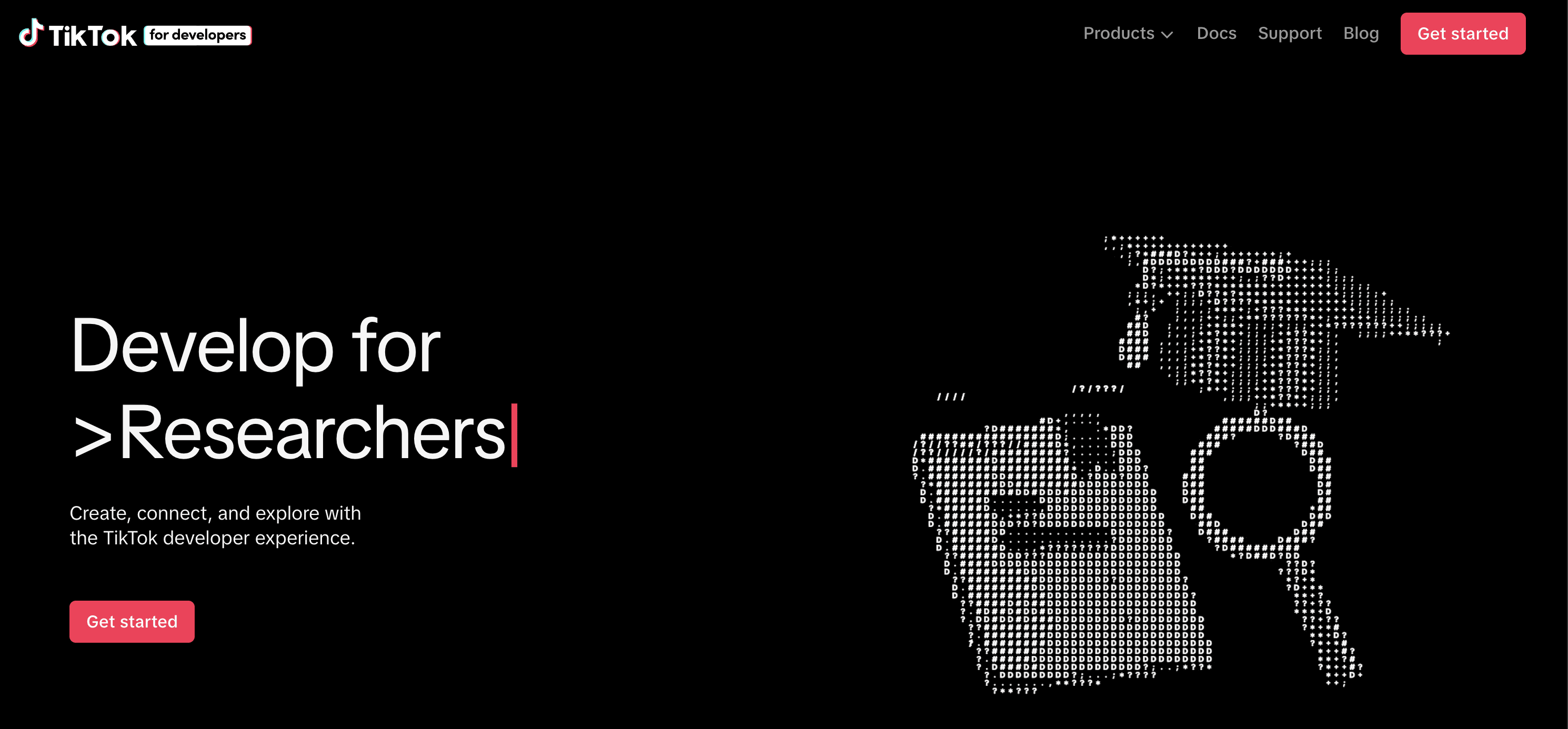 TikTok API for developers