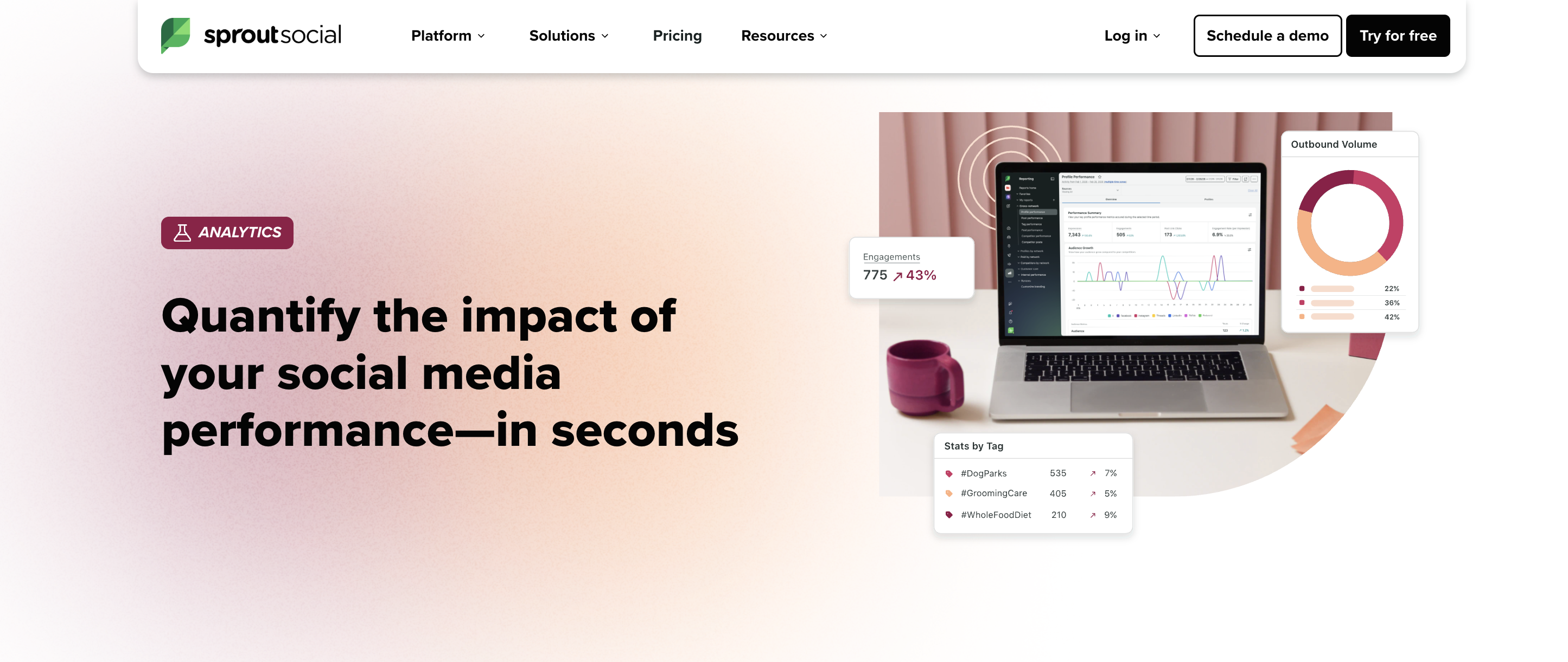 Sprout Social analytics